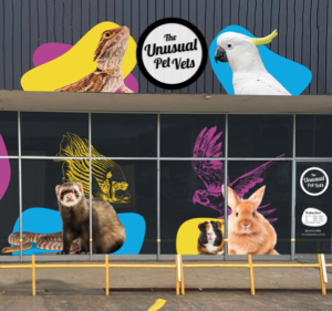  The Unusual Pet Vets Canberra