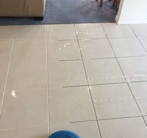 Ozy Cleaning and Pest Control Cleaning service in Tarneit