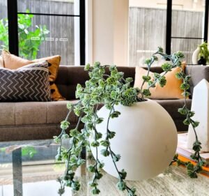 Interior Design Services in Melbourne Australia Home Design Melbourne