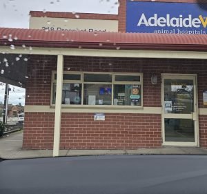 AdelaideVet Prospect Pet care service in Prospect