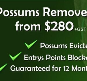 Pest Control Services in Melbourne Australia Possum Catchers