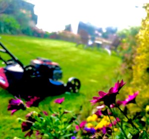 Garden-R Garden Maintenance & Landscaping in Black Forest