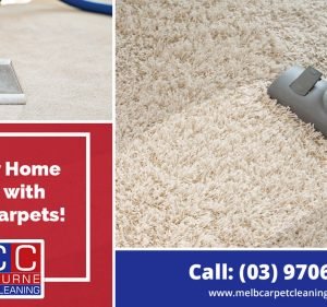 Melbourne Carpet Cleaning - Same Day Carpet Steam Cleaning Cleaning service in Clayton