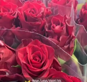 Zeneli Flowers Florist in Carlton North