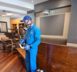 SydneyPesties Pest Control Services Pest control service in Colyton