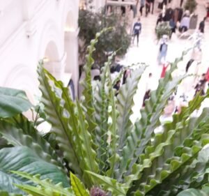 H&M Fashion in Melbourne