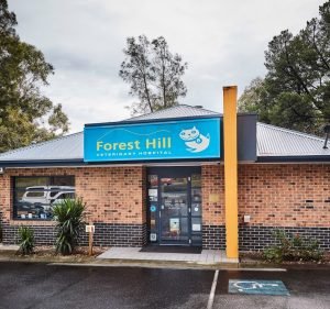 Forest Hill Veterinary Hospital Pet care service in Forest Hill