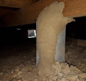 Viking Termite & Pest Control Pest control service in Rowville
