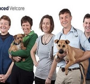 Pet Care Services in Melbourne Australia Advanced Vetcare