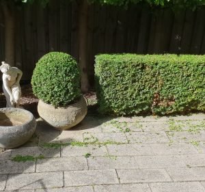 Gardening and Landscaping Services in Melbourne Australia Ben Rickard Horticultural Service
