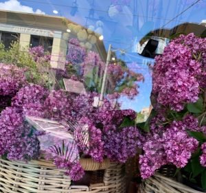 Antaeus Flowers Florist in South Yarra