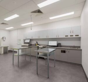 Veterinary Clinics in Melbourne Australia Vetcare Hawthorn