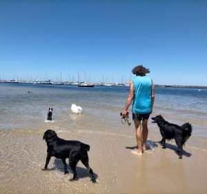 Paws on the Bay Pet care service in Port Melbourne