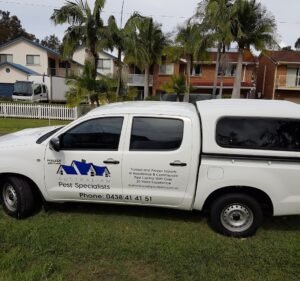 Pest Control Services in Victoria Australia Australian Pest Specialists