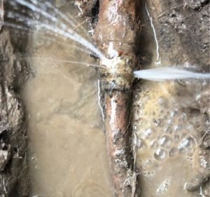 Plumbing Services in Melbourne Australia Home Leak Detection