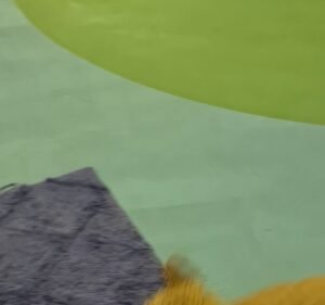 Woofers World Pet care service in Ormond