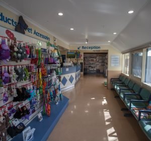  Pet Doctor Woodville - Your Family Vet