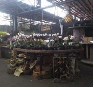 Flawless Flowers Florist in South Yarra