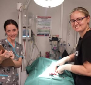 Veterinary Clinics in Point Cook Australia Direct Vet Services