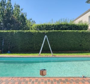 MP Landscapes Landscaping in St Kilda East
