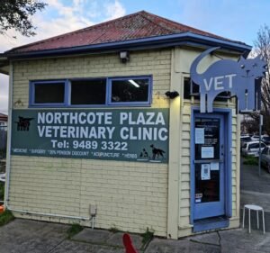Veterinary Clinics in Melbourne Australia Northcote Plaza Veterinary Clinic