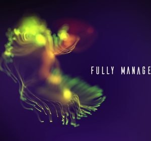 OPC IT IT Services in Fyshwick