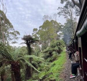 Explore Australia Tours I Food & Wine Tours I Sightseeing Tours Travel in Melbourne