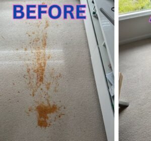 The Squeaky Clean Team Cleaning service in Prahran