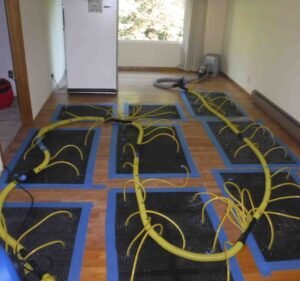 ECO Carpet Cleaning Melbourne Cleaning service in Richmond