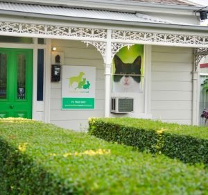Veterinary Clinics in Victoria Australia Hawthorn East Vet