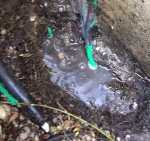 Home Leak Detection Plumber in Carnegie