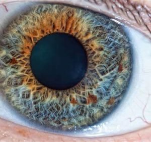 Yeppoon Naturopathic Women's Health Centre Health & Medical in Yeppoon