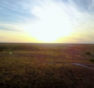 Bush Heritage Australia Not For Profit in Docklands