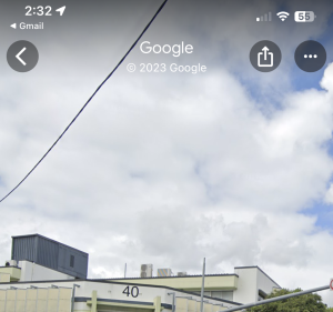 The Neurodivergent Naturopath Health & Medical in Woolloongabba