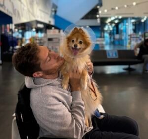 RSPCA Burwood East Vet Clinic Pet care service in Burwood East