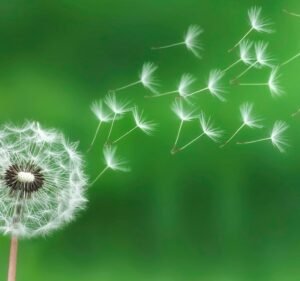 Think Independent Financial Services in Melbourne