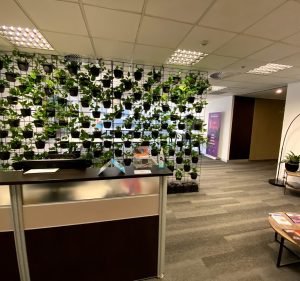 Software Development in Point Cook Australia Asta