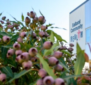 Medical Clinics in Victoria Australia Ballarat Community Health