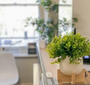 North Adelaide Healthcare Health & Medical in North Adelaide