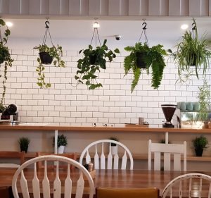 Cafes and Coffee Shops in Melbourne Australia Avocado Moment Cafe