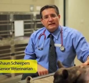 Port Adelaide Veterinary Clinic & Cattery Pet care service in Ethelton