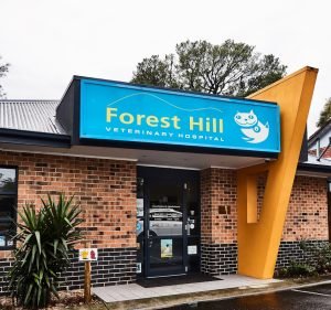 Veterinary Clinics in Melbourne Australia Forest Hill Veterinary Hospital