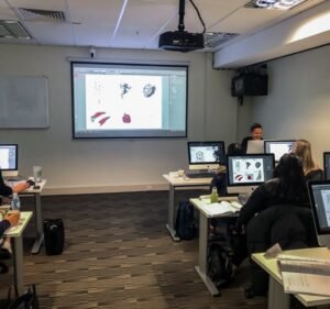 Training and Development in Melbourne Australia City Desktop Training