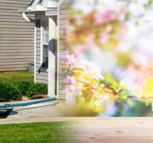 Carpet Cleaning Services in Point Cook Australia Proclean | Cleaning Solutions