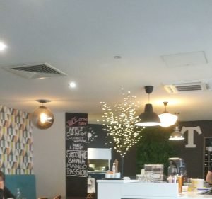 Trevs Restaurant and Cafe Food & Beverages in Dickson