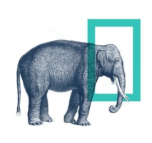 Koda Capital Financial Services in Melbourne