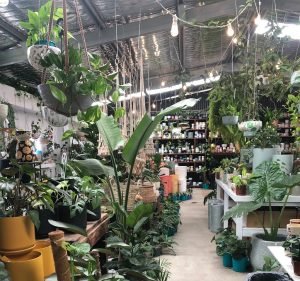 Creation Landscape Supplies Landscaping in North Fremantle