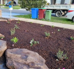 Landscaping Services in Victoria Australia Landscapers At Work