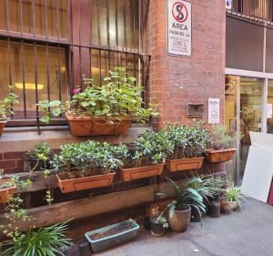Cafes and Coffee Shops in Melbourne Australia Manchester Press