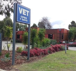 Veterinary Clinics in Victoria Australia Boronia Veterinary Clinic and Hospital